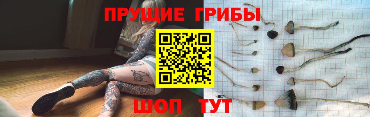 Галлюциногенные грибы мицелий  Вход с VPN  Прокопьевск 